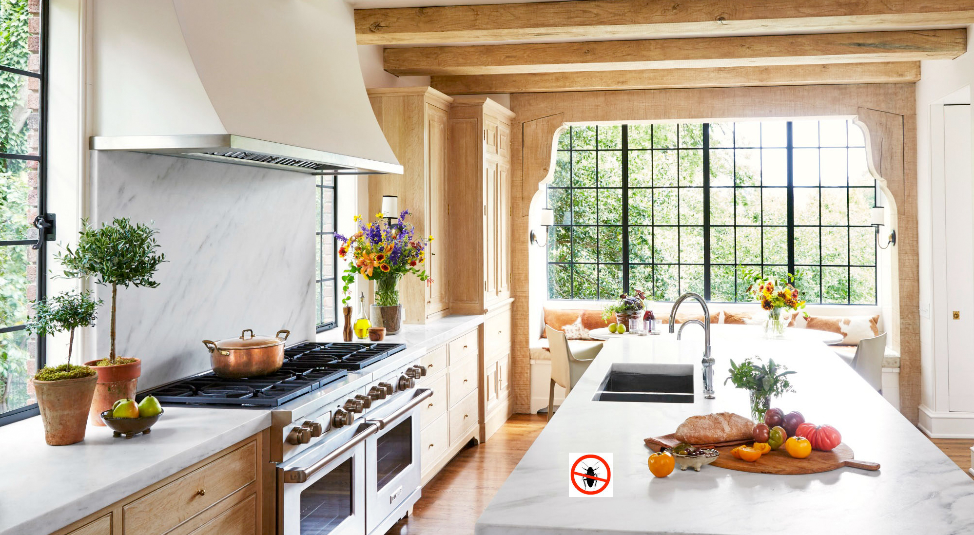 how to get rid of cockroaches in kitchen